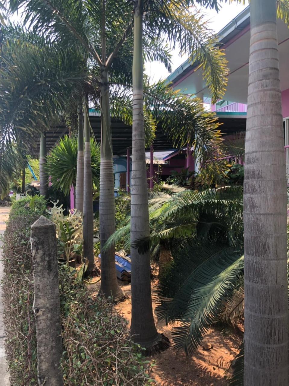 Bann Pa Su Hotel Ko Lan Exterior foto